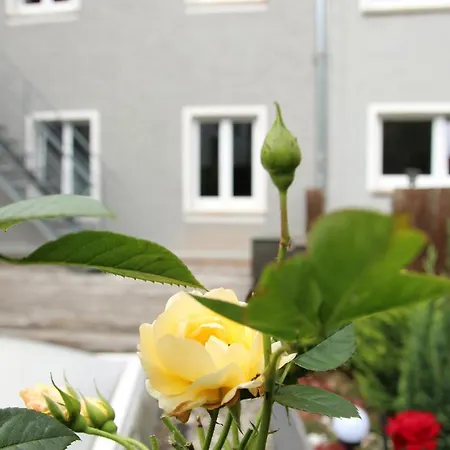 Lägenhet Wjh Apartmentvermietung